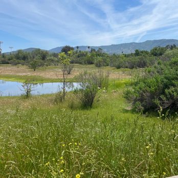 Ojai Meadows Preserve Trail - Hiking Near Me - Ojai, California