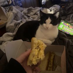 The Meltdown - Breakfast N' Bread Melt