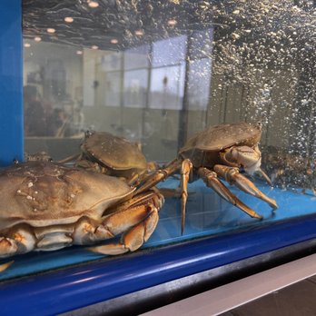 Home Taste - Fresh crab in the tank - Chinese Near Me - Eden Prairie, Minnesota Home Taste - Fresh crab in the tank - Chinese Near Me - Eden Prairie, Minnesota