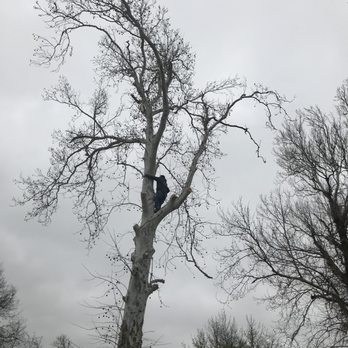 Ricardo’s Tree Service - Very good service - Tree Services Near Me - Piedmont, Oklahoma Ricardo’s Tree Service - Very good service - Tree Services Near Me - Piedmont, Oklahoma