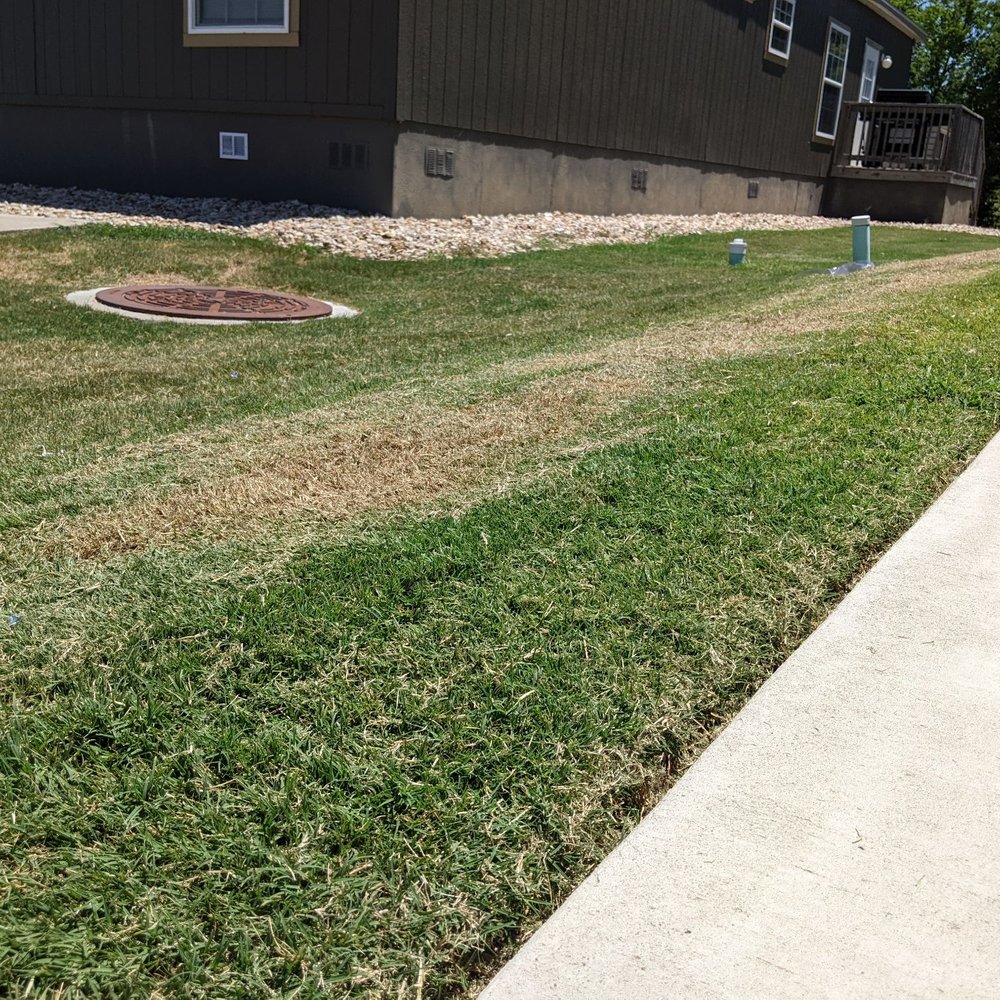 Bad landscaper Bad landscaper