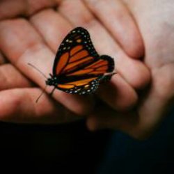 Traci Rhone, LMHC - Transform Your Life And Be Happy