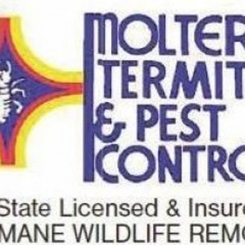 Molter Termite and Pest Control - Pest Control Near Me - Bradenton, Florida Molter Termite and Pest Control - Pest Control Near Me - Bradenton, Florida