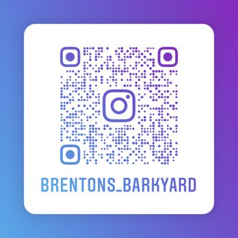 Brenton’s Barkyard - Instagram! - Dog Walkers Near Me Brenton’s Barkyard - Instagram! - Dog Walkers Near Me