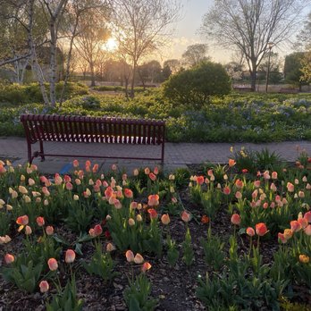 Loring Park - Dog Parks Near Me - Minneapolis, Minnesota