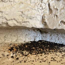 Cricket intrusion into my stucco. Cricket intrusion into my stucco.