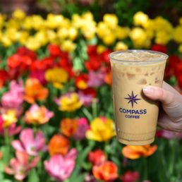 Iced Latte