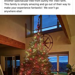 Sunny Hill Tree Farm - Some of the supporting reviews that led me to visiting Sunny Hill Tree Farm.