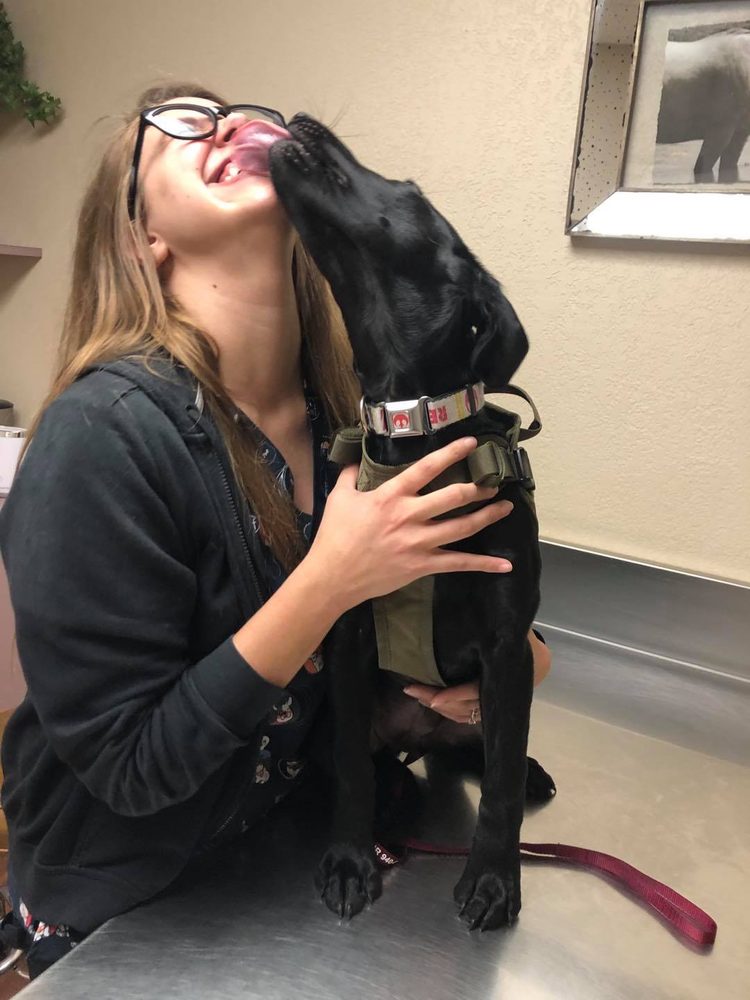 WISE COUNTY ANIMAL CLINIC Updated October 2024 10 Reviews 1000