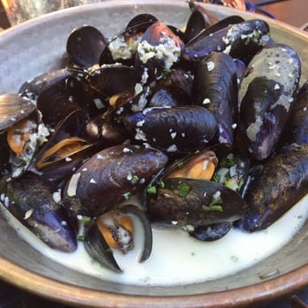 The Urchin - Seafood Near Me - Hove, BNH