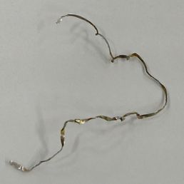Found this in our Singapore noodles dish. It's a piece of wire or metal shaving. Found this in our Singapore noodles dish. It's a piece of wire or metal shaving.
