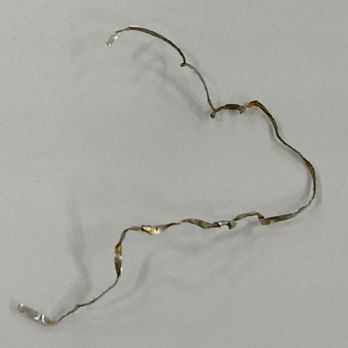 Lim's Chinese Restaurant - Found this in our Singapore noodles dish. It's a piece of wire or metal shaving. - Chinese Near Me - Sterling Heights, Michigan Lim's Chinese Restaurant - Found this in our Singapore noodles dish. It's a piece of wire or metal shaving. - Chinese Near Me - Sterling Heights, Michigan