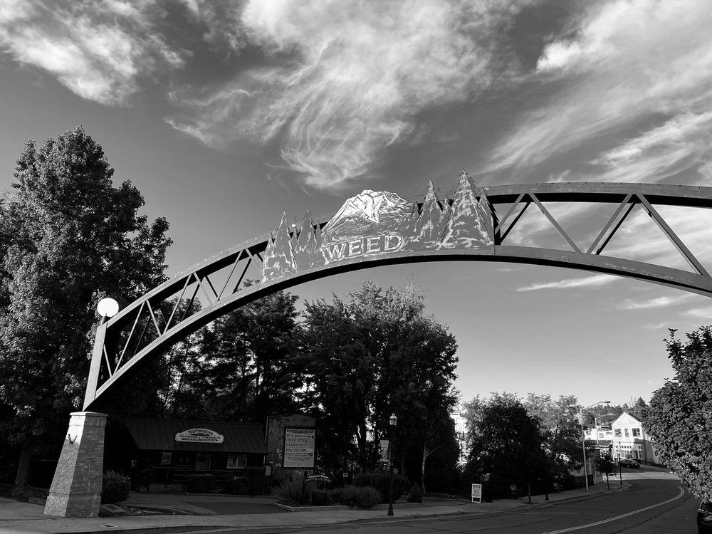 Weed Archway Logo