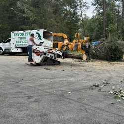 Favorite Tree Service