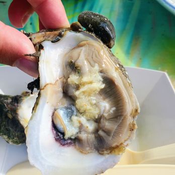 Schooner Wharf Bar - Oyster - Seafood Near Me - Key West, Florida Schooner Wharf Bar - Oyster - Seafood Near Me - Key West, Florida