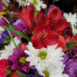 Johnson's Floral & Gift
