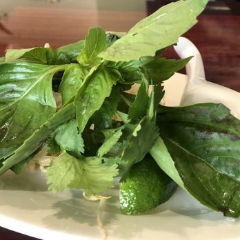 Pho Win - Thai basil , lime , cilantro , bean sprouts - Vietnamese Near Me - San Antonio, Texas Pho Win - Thai basil , lime , cilantro , bean sprouts - Vietnamese Near Me - San Antonio, Texas