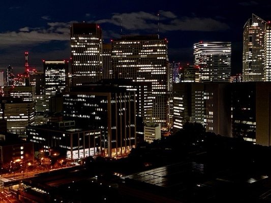 The Capitol Hotel Tokyu by null