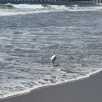 Haskell's Beach - Beaches Near Me - Goleta, California