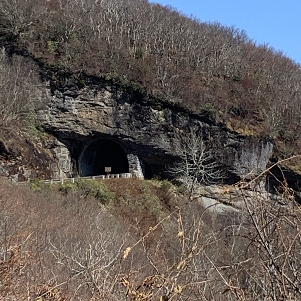 Craggy Gardens - Looking up into one of the tunnels carved through the mountains near Craggy Gardens. - Hiking Near Me - Black Mountain, North Carolina Craggy Gardens - Looking up into one of the tunnels carved through the mountains near Craggy Gardens. - Hiking Near Me - Black Mountain, North Carolina