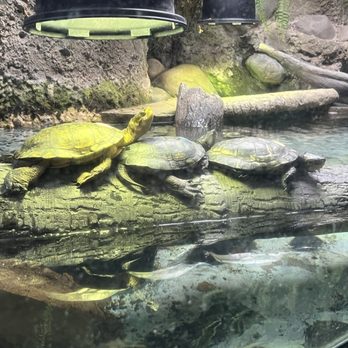 Oregon Zoo - Zoos Near Me - Portland, Oregon