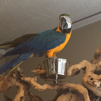 Thomas Tails - Ozzie is having fun on his new playground. - Pet Stores Near Me - Crystal Lake, Illinois Thomas Tails - Ozzie is having fun on his new playground. - Pet Stores Near Me - Crystal Lake, Illinois