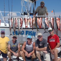 Dead Fish Charters - Everybody catches fish