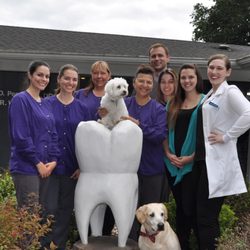 Lacey Family Dental