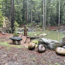 Mendocino Stone Ranch