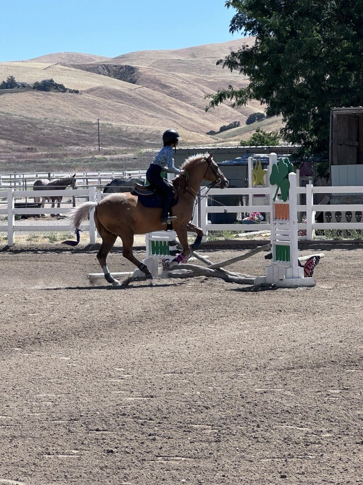 CERRO VISTA RANCH AND STABLES Updated September 2024 10 Photos