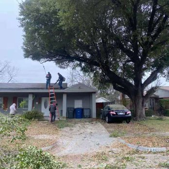 Hernandez Tree Experts - After - Tree Services Near Me