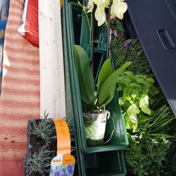 OBI - Alles für Garten und Hochbeet