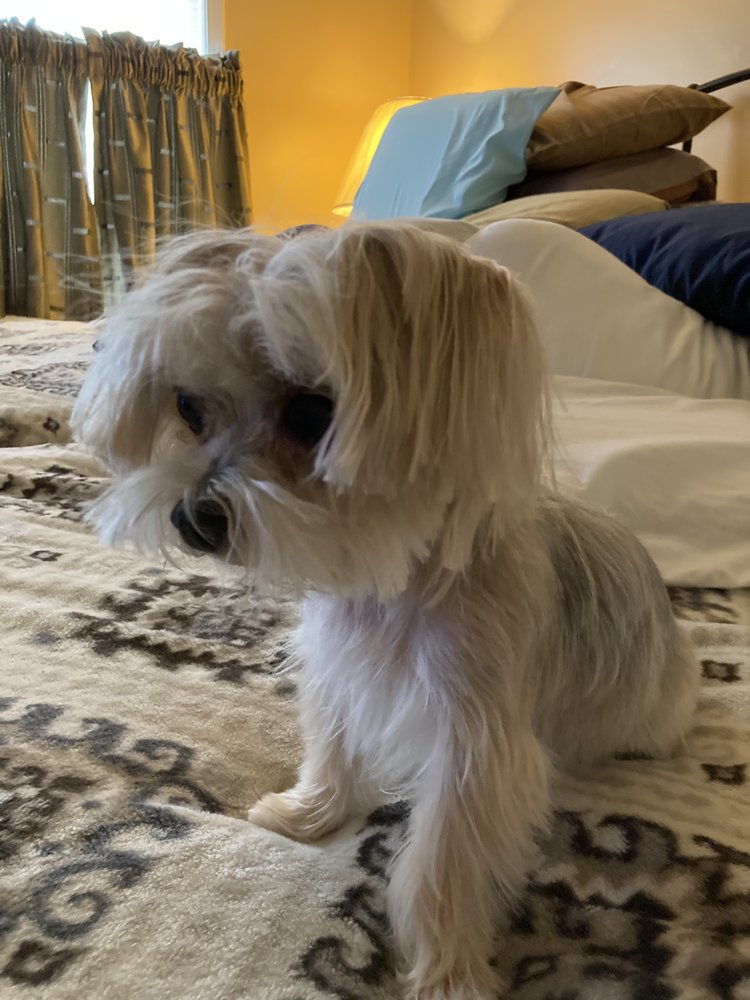 NORTHEAST INDIANA VETERINARY EMERGENCY & SPECIALTY HOSPITAL Updated