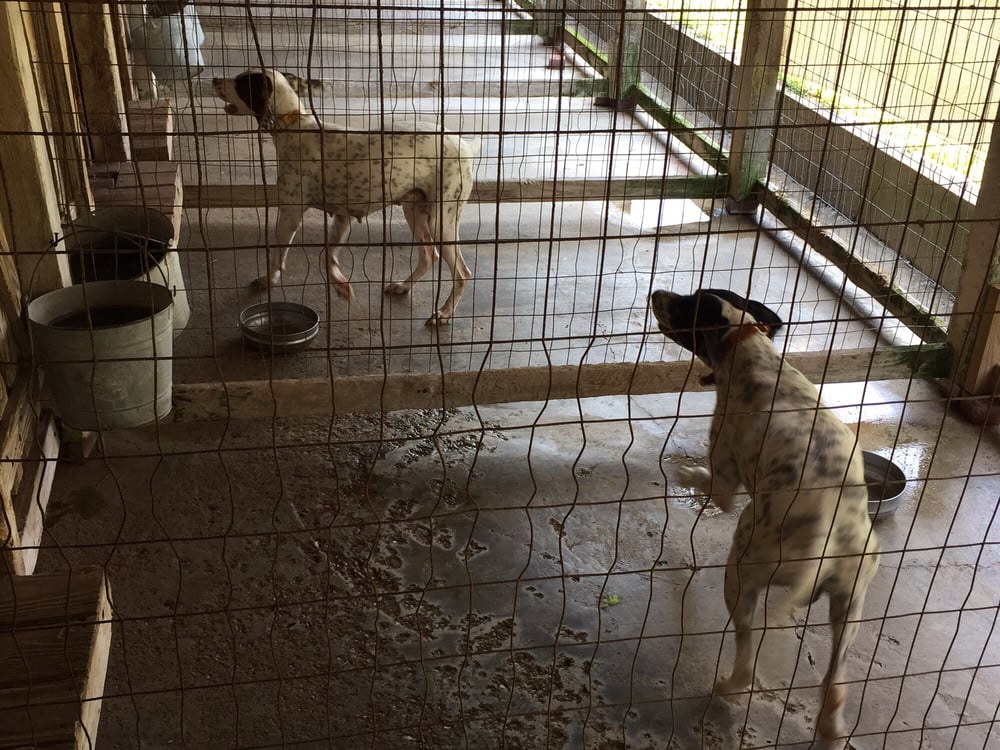 GARDNER KENNELS Updated September 2024 2834 Highway 22, Madison