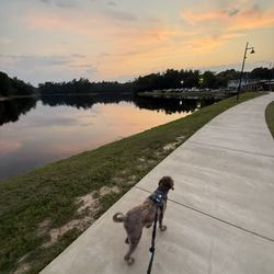 Gibson Pond Park
