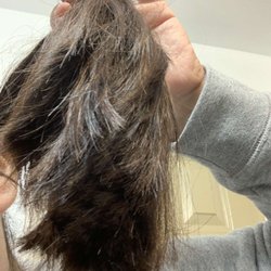 Great Clips