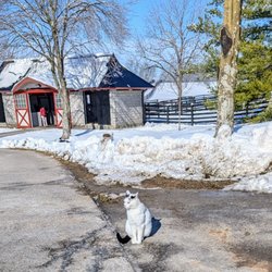 user provided Taylor Made Farm photo