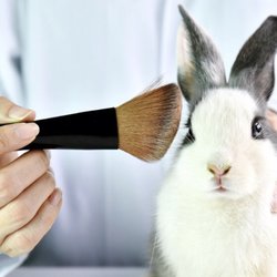 Holistica - We are cruelty free