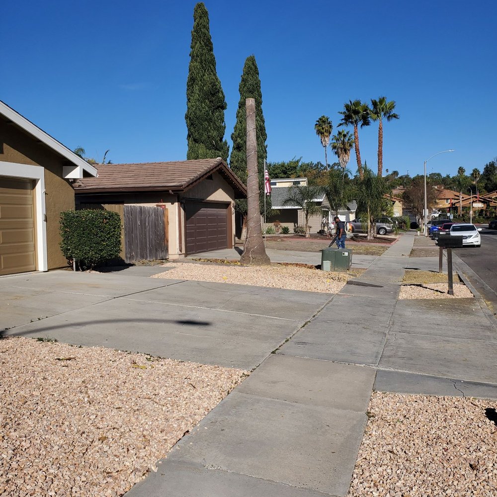 SD Tree Service - What tree? - Tree Services Near Me