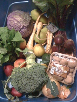 New Roots Organics by null