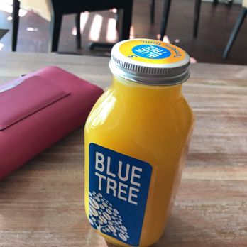 Bluetree Cafe - Honolulu - Turmeric tonic - Coffee & Tea Near Me - Honolulu, Hawaii