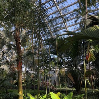 Garfield Park Conservatory - Parks Near Me - Chicago, Illinois