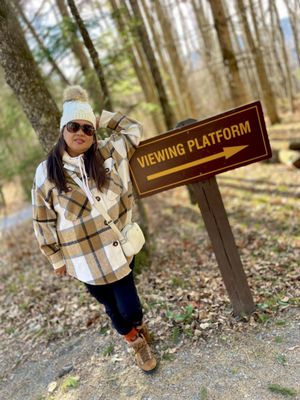 Kaaterskill Falls, Viewing Platform by null