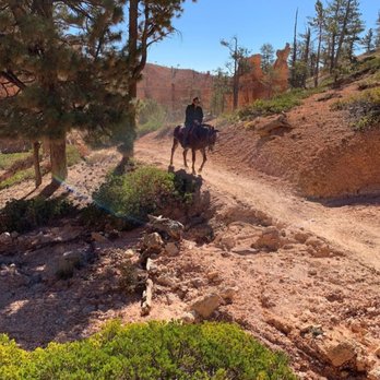 Canyon Trail Rides - Horseback Riding Near Me - Tropic, Utah Canyon Trail Rides - Horseback Riding Near Me - Tropic, Utah