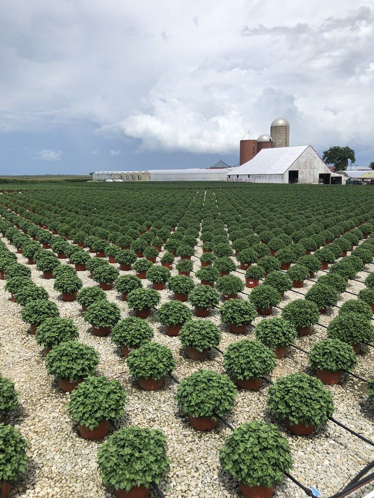 CEDAR LANE GREENHOUSE Updated August 2024 16875 Blackburn Rd