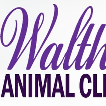 Walther Animal Clinic - Veterinarians Near Me - Houma, Louisiana Walther Animal Clinic - Veterinarians Near Me - Houma, Louisiana