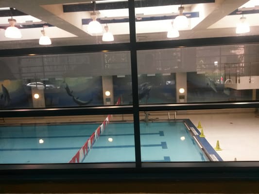 Chelsea Pool by null