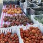 Photo of J&M Ibarra Organic Farms