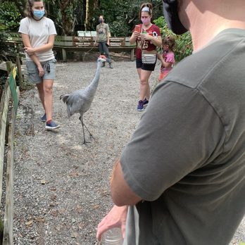 Busch Wildlife Sanctuary - Roaming free - Zoos Near Me - Jupiter, Florida Busch Wildlife Sanctuary - Roaming free - Zoos Near Me - Jupiter, Florida
