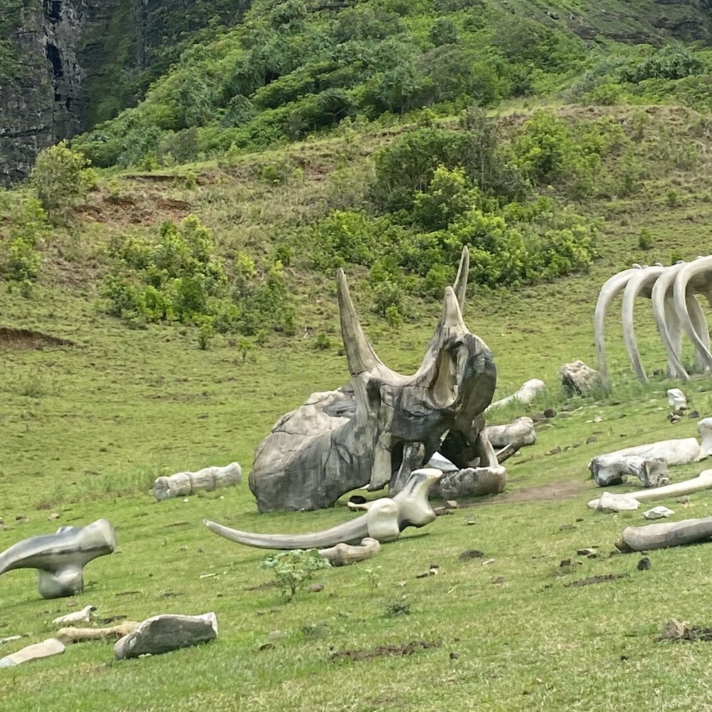 KOS Tours - Tours Near Me - Honolulu, Hawaii KOS Tours - Tours Near Me - Honolulu, Hawaii